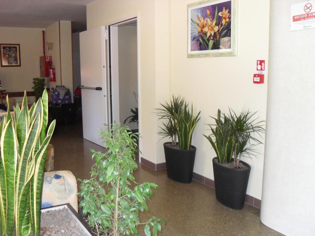 Hotel Zani Τσέρβια Εξωτερικό φωτογραφία