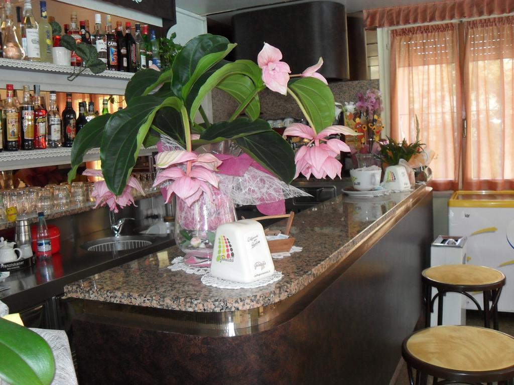 Hotel Zani Τσέρβια Εξωτερικό φωτογραφία